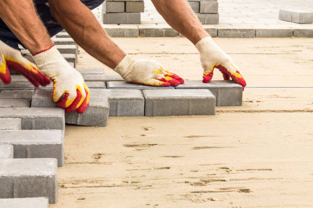 Best Local Driveway Pavers  in Chestertown, MD