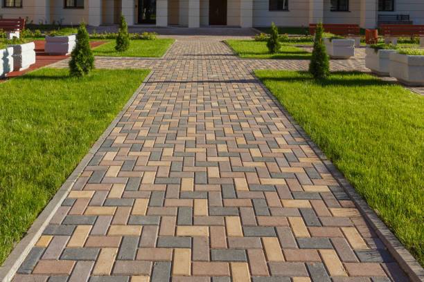 Best Driveway Paving Contractor  in Chestertown, MD
